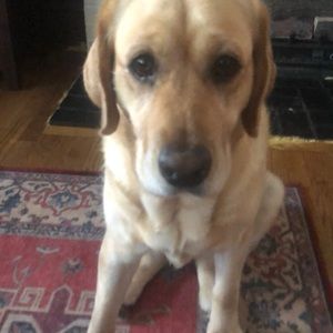 Meet your Posher, Chuck